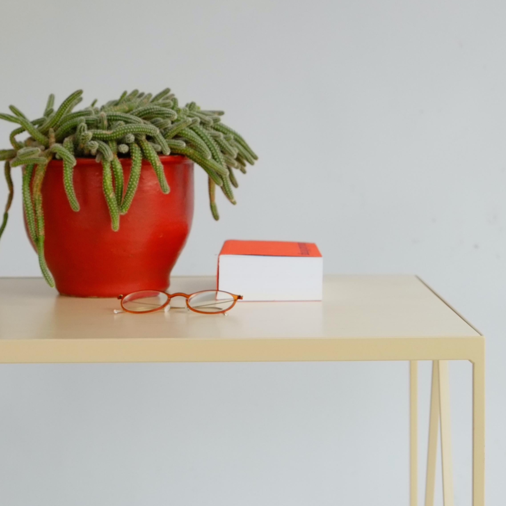 Study Desk - Birch plywood top