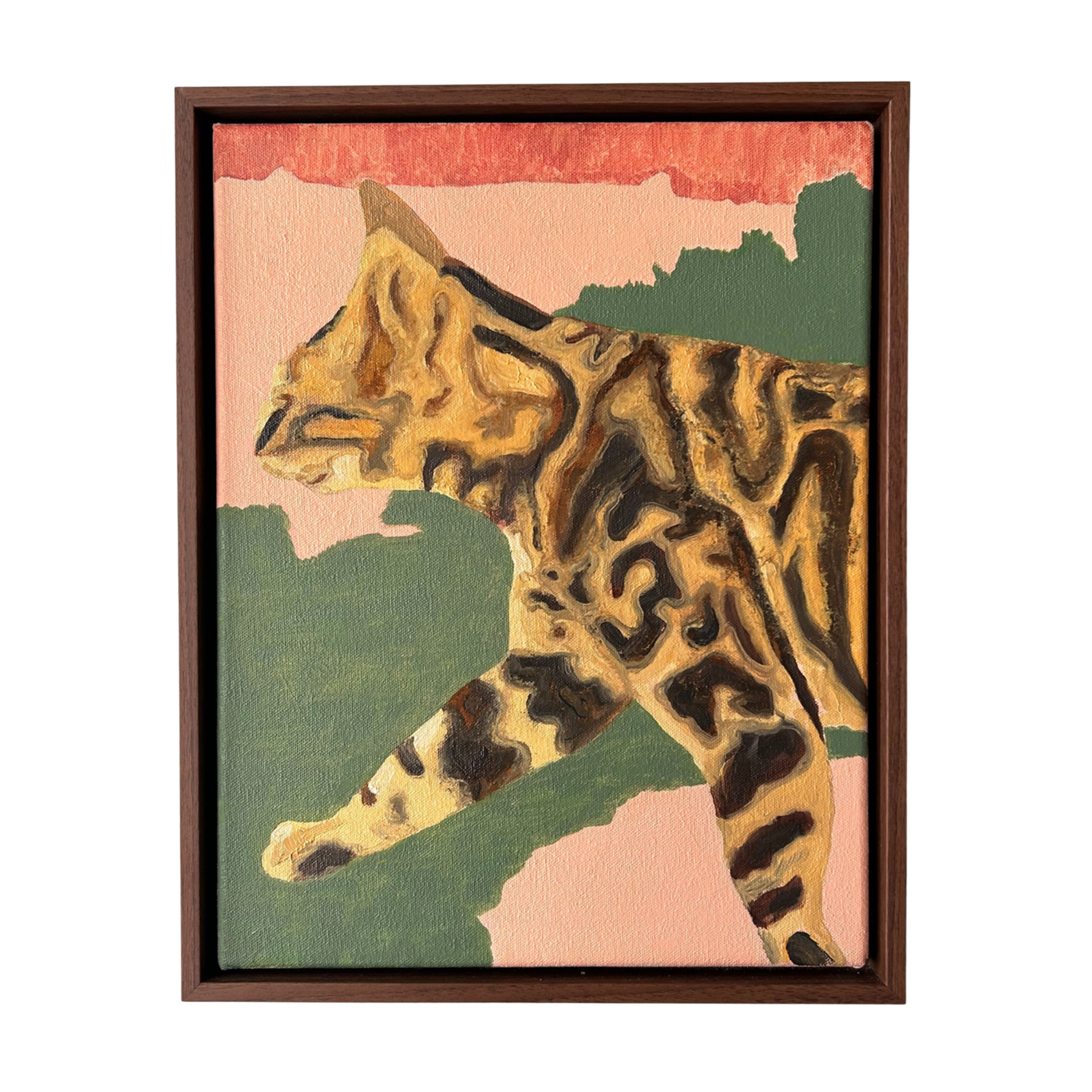 Bengal 2025, by Steven Maciver