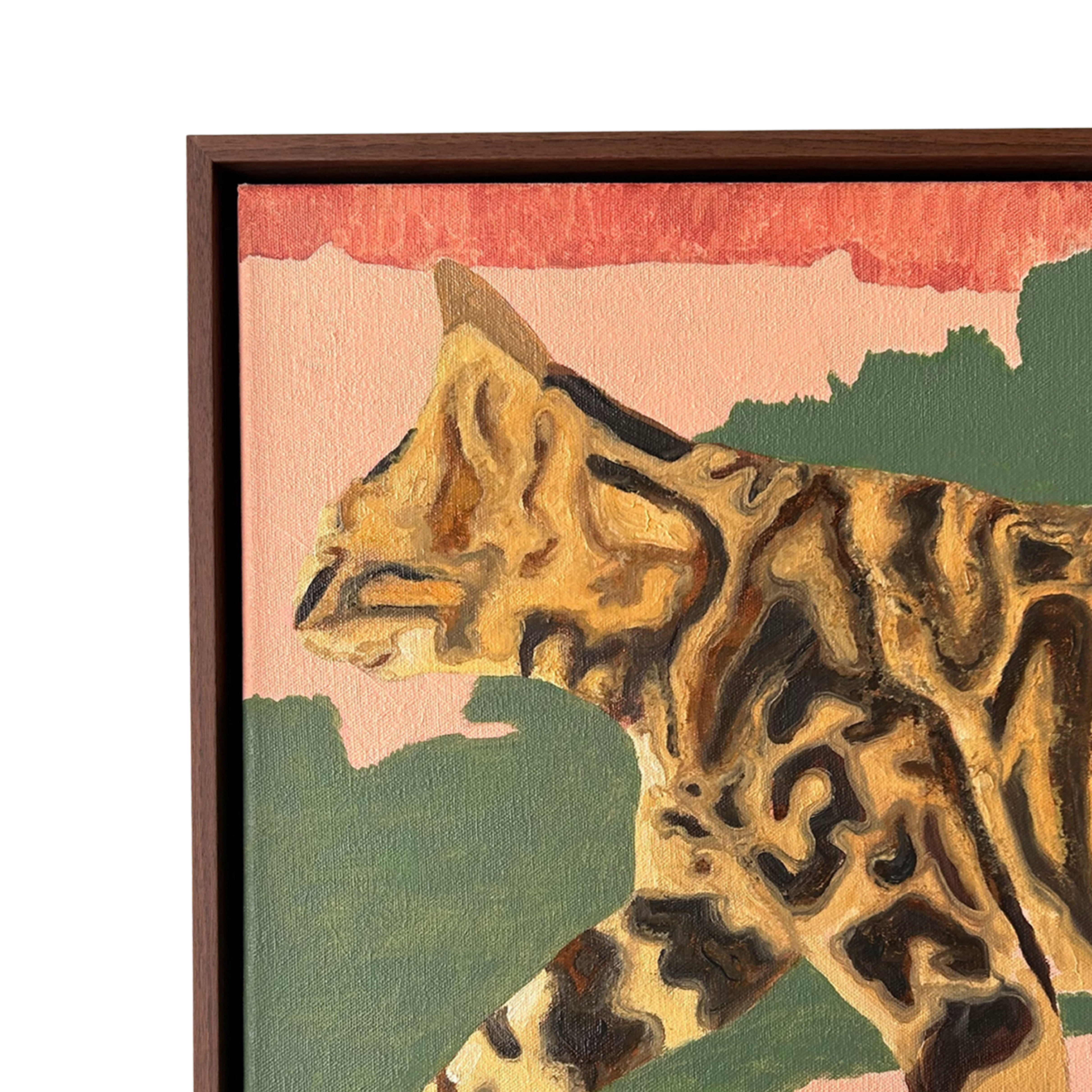 Bengal 2025, by Steven Maciver