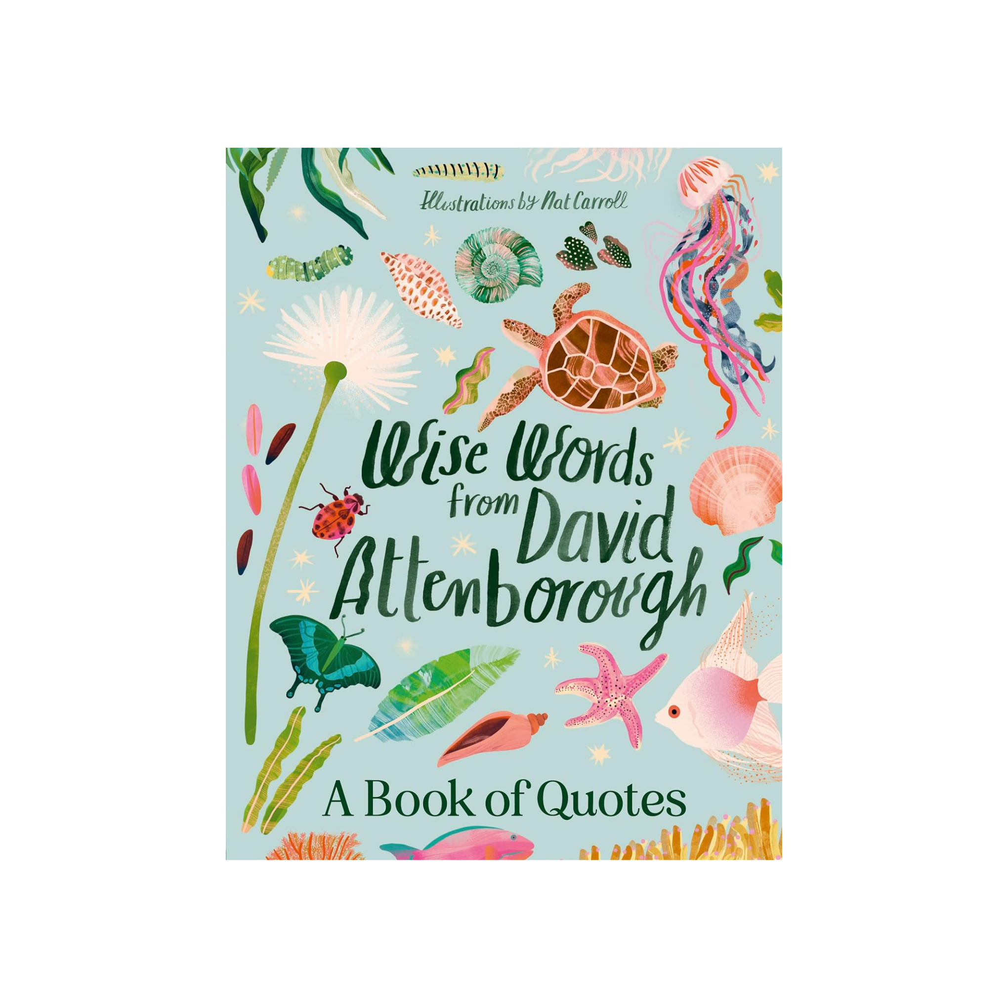 Wise Words From David Attenborough