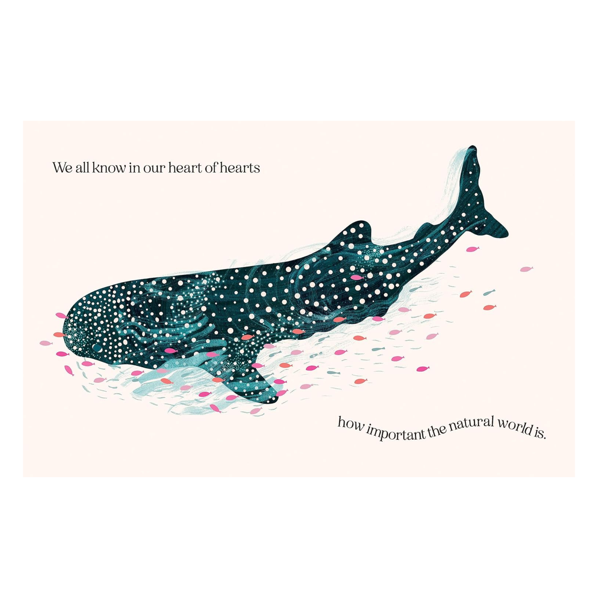 Wise Words From David Attenborough