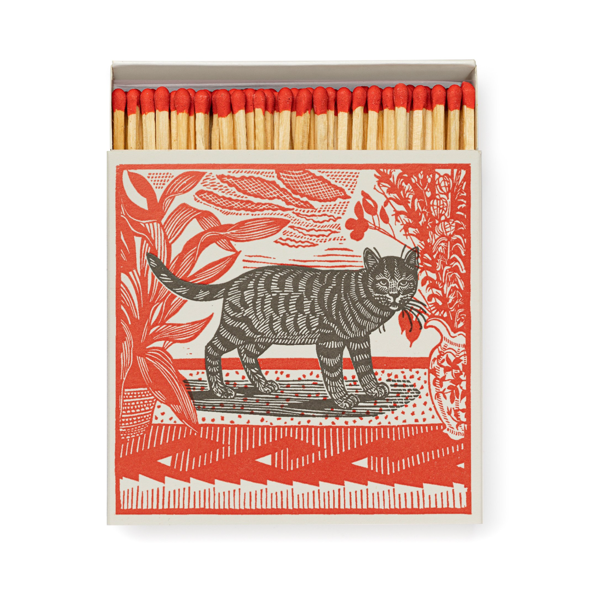 Sasha The Cat Luxury Matches