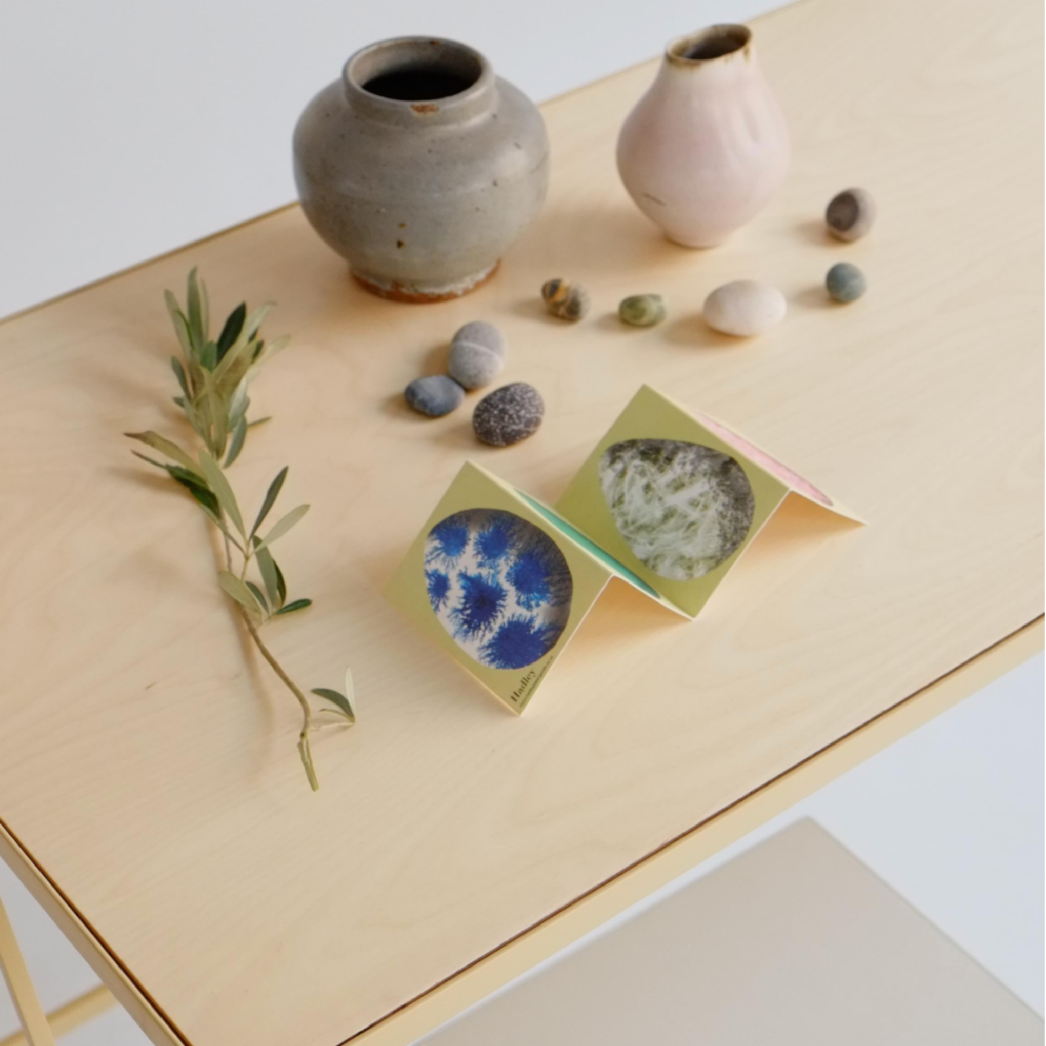 Study Desk - Birch plywood top